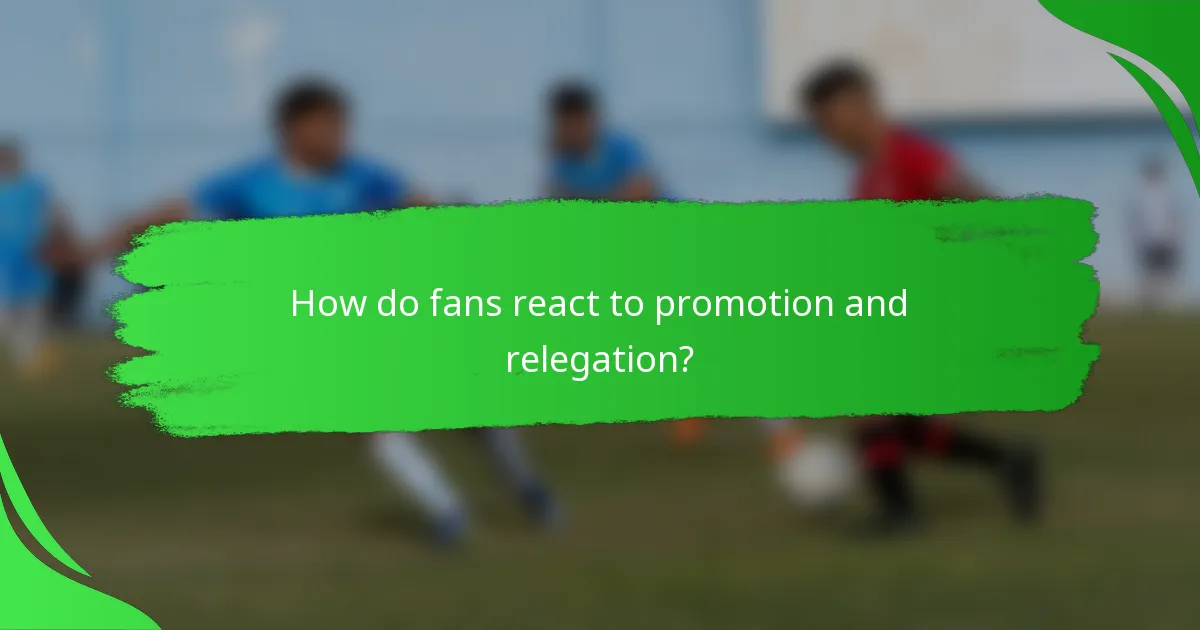 How do fans react to promotion and relegation?