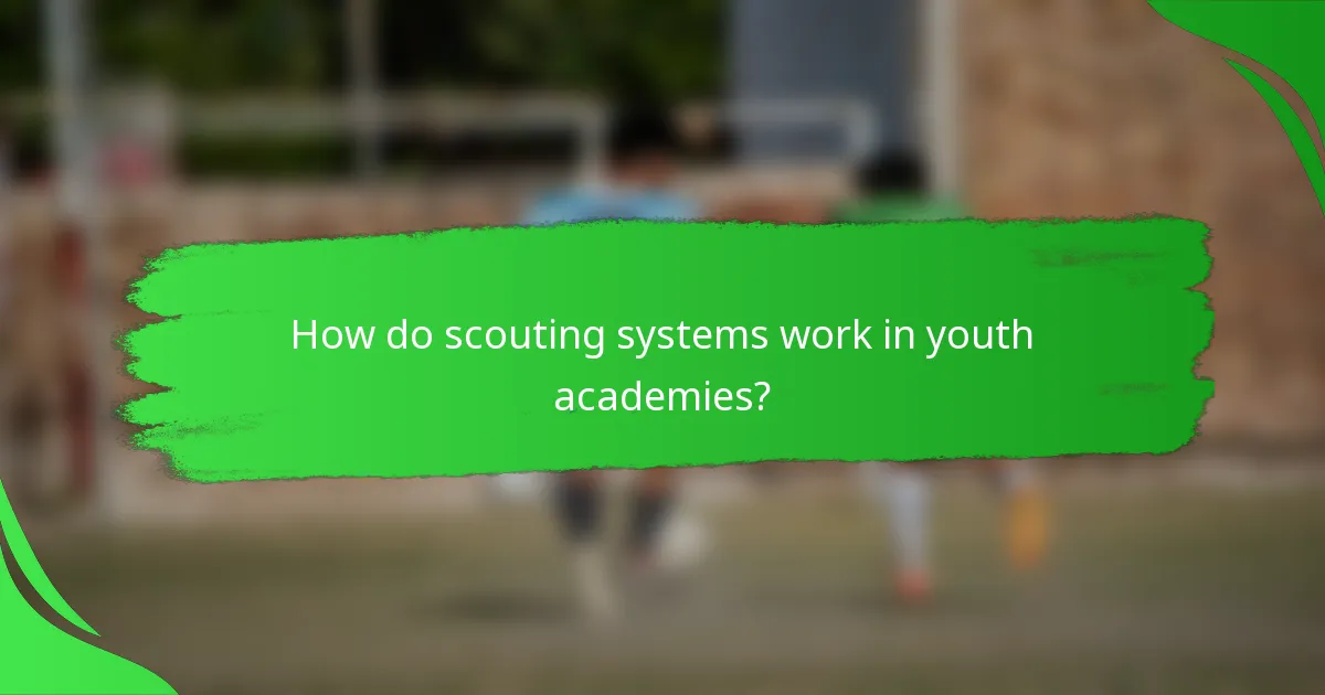 How do scouting systems work in youth academies?