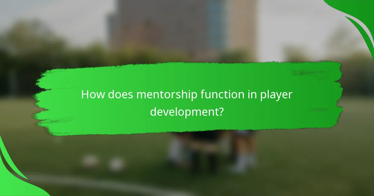 How does mentorship function in player development?