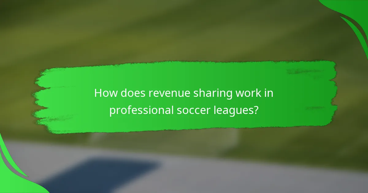 How does revenue sharing work in professional soccer leagues?