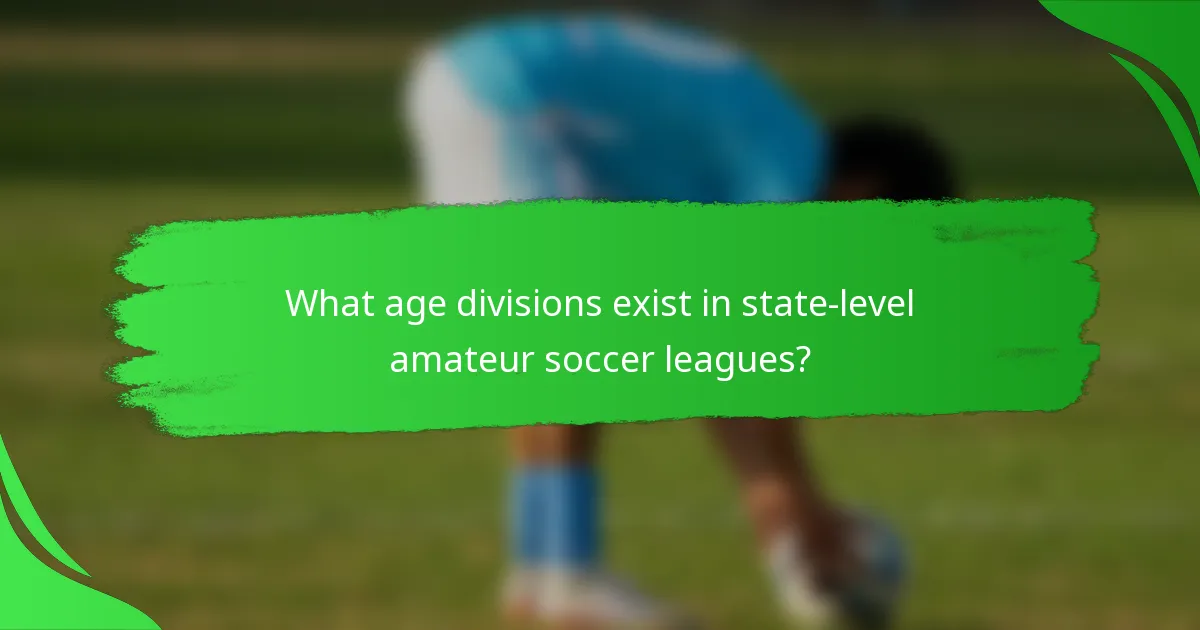 What age divisions exist in state-level amateur soccer leagues?
