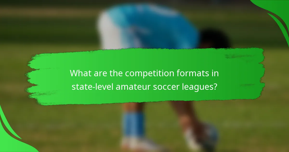 What are the competition formats in state-level amateur soccer leagues?