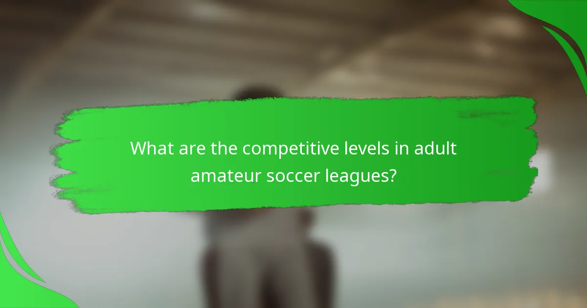 What are the competitive levels in adult amateur soccer leagues?
