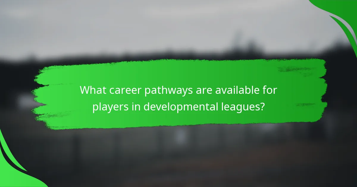 What career pathways are available for players in developmental leagues?
